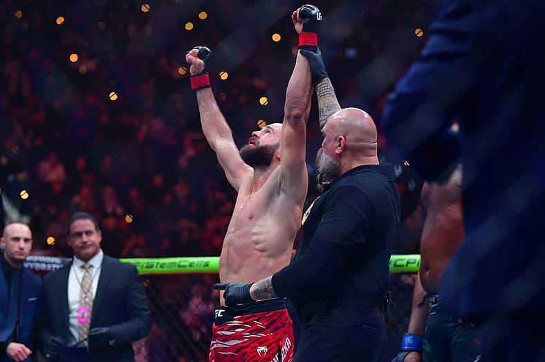 ufc light heavyweight rankings