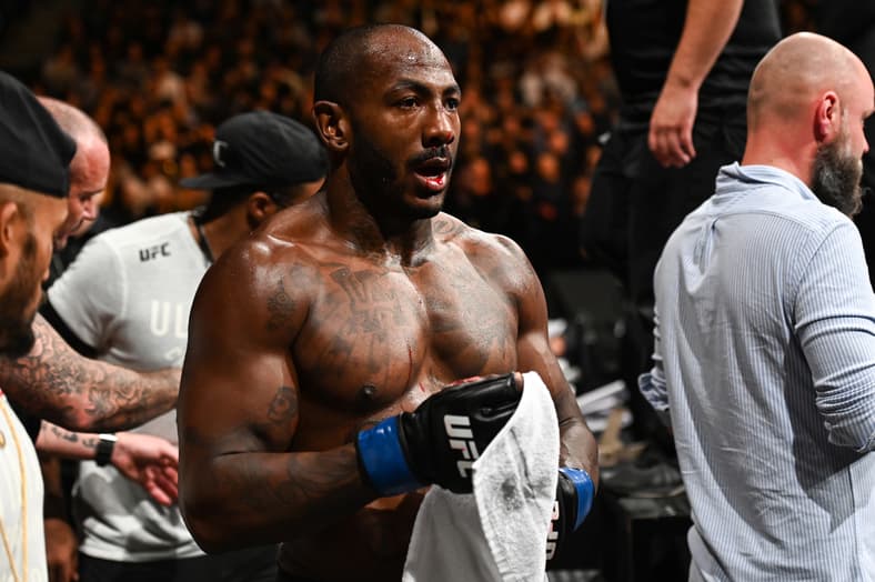 ufc light heavyweight rankings