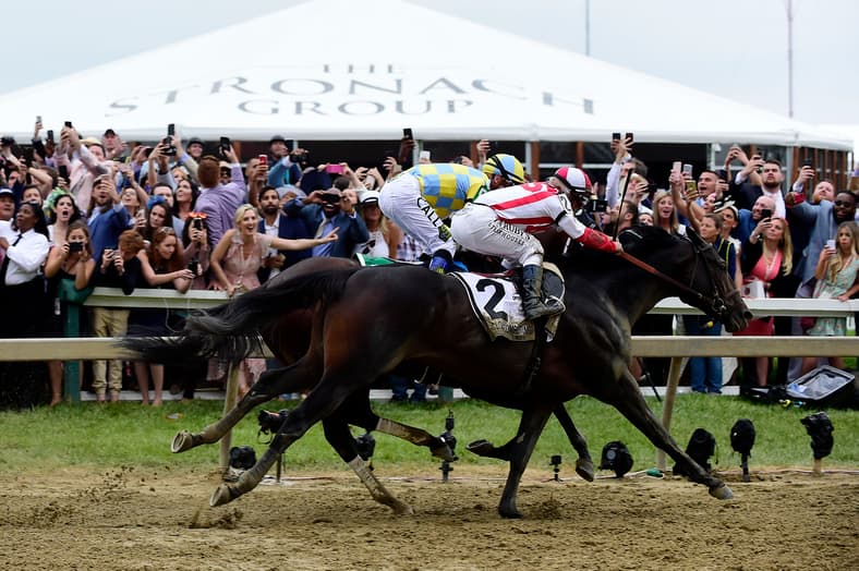 preakness stakes