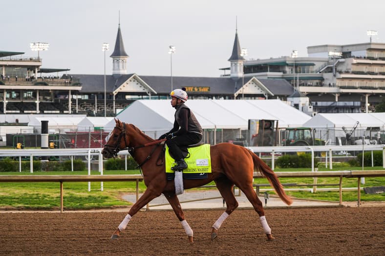 belmont stakes