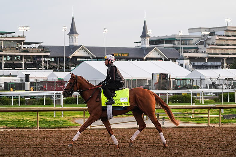 belmont stakes