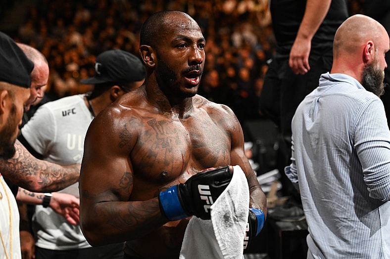 ufc light heavyweight rankings