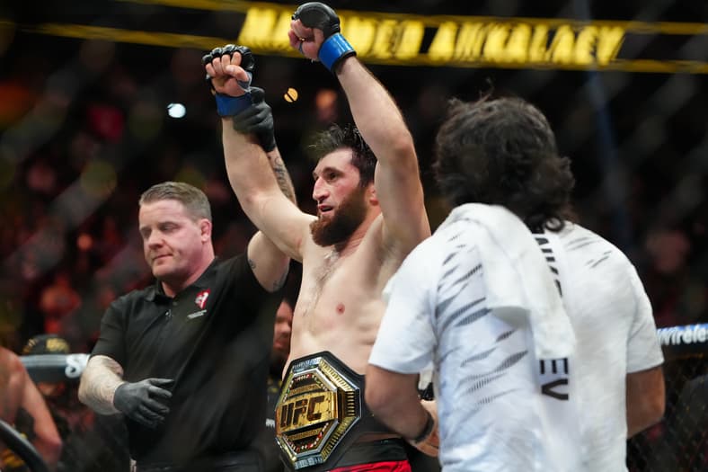 ufc light heavyweight rankings