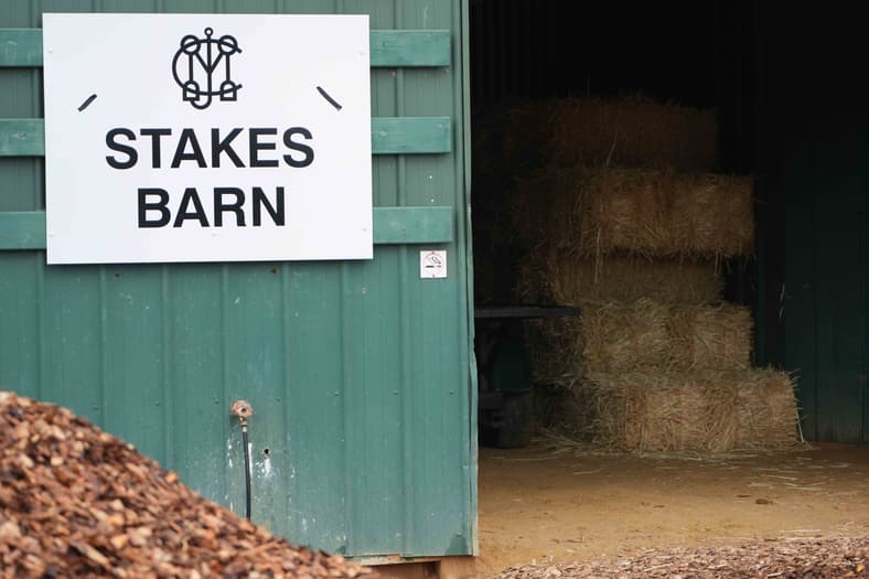 preakness stakes horses