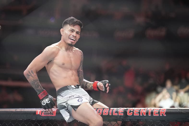 ufc 317 predictions