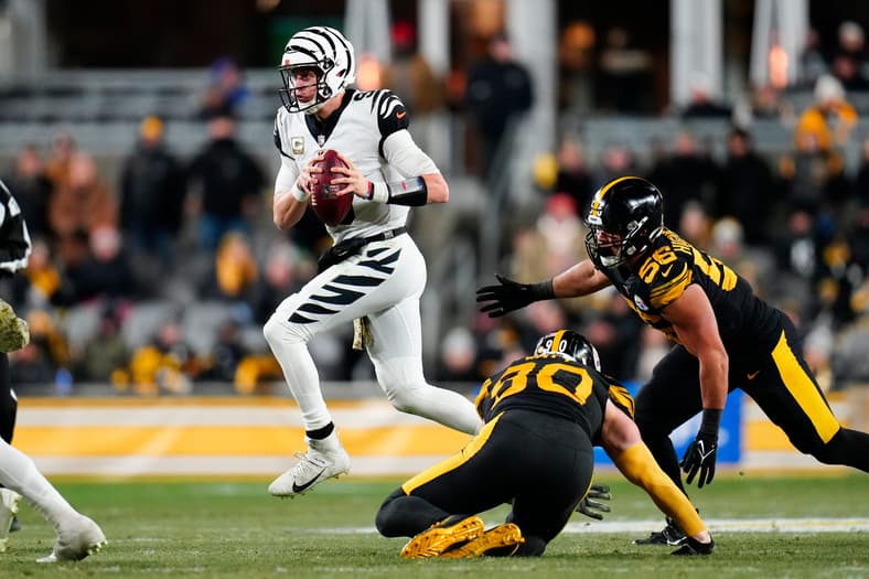 Cincinnati Bengals schedule predictions, Bengals predictions 2025