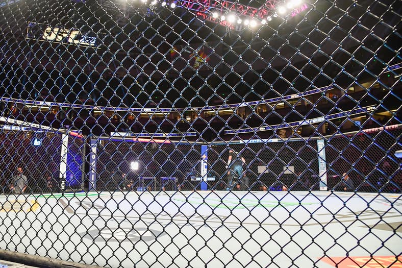 MMA: UFC 270-Hansen vs Jasudavicius