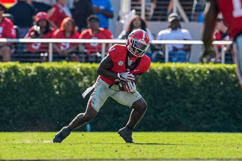 Georgia Bulldogs vs Tennessee Volunteers
