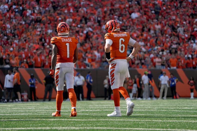 bengals