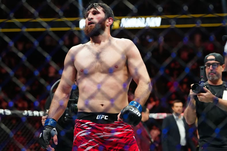 ufc light heavyweight rankings
