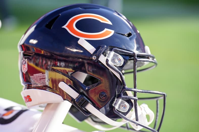 bears