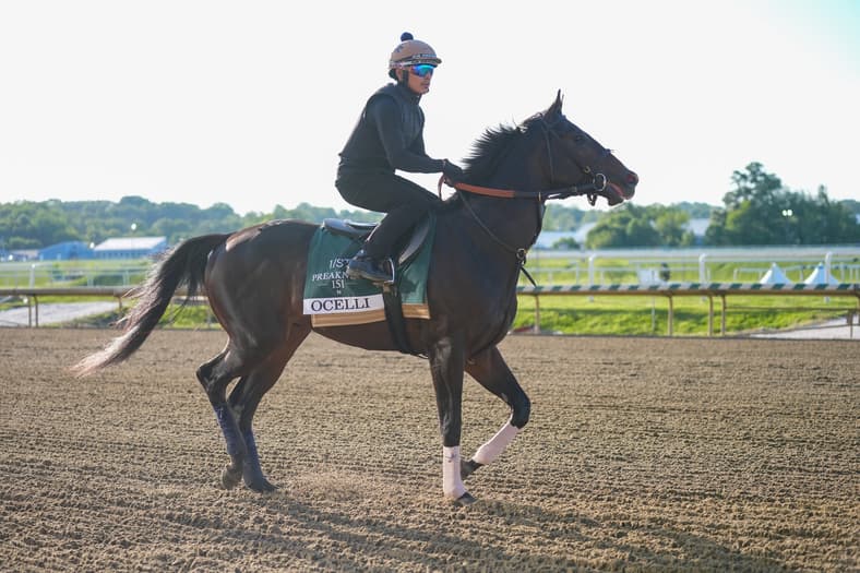 Horse Racing: 151st Preakness-Workouts