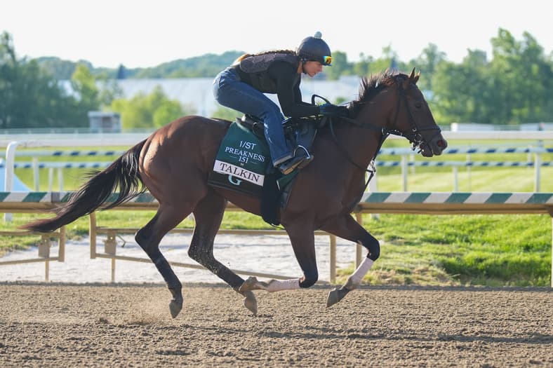 Horse Racing: 151st Preakness-Workouts