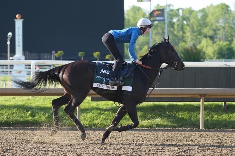 preakness stakes