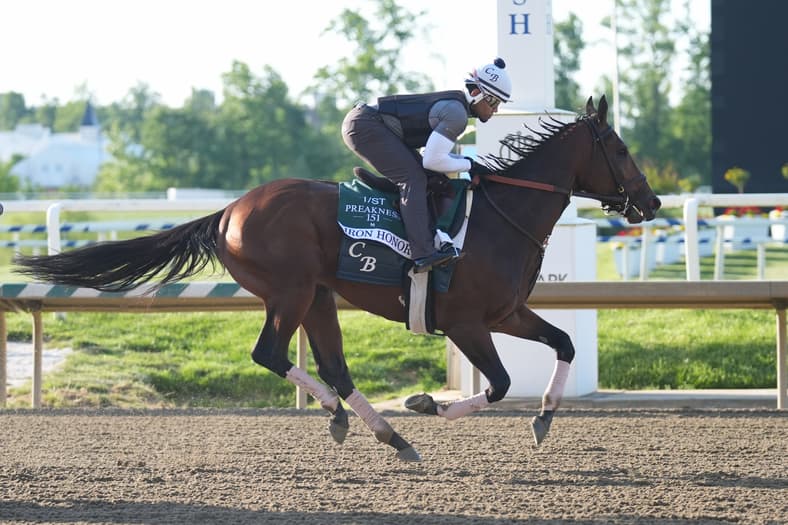 preakness stakes