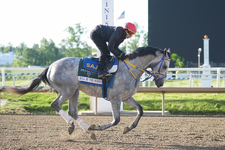 preakness stakes