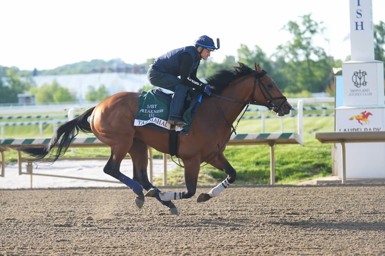 Horse Racing: 151st Preakness-Workouts