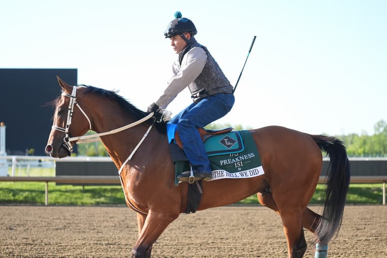 preakness stakes