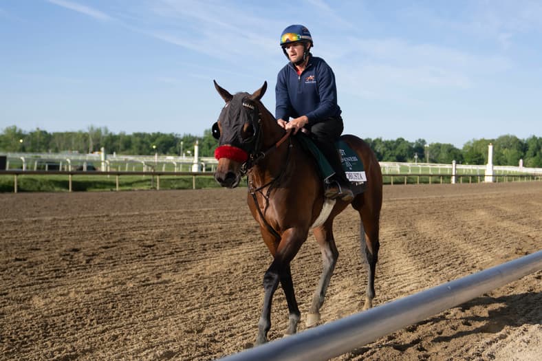 preakness stakes