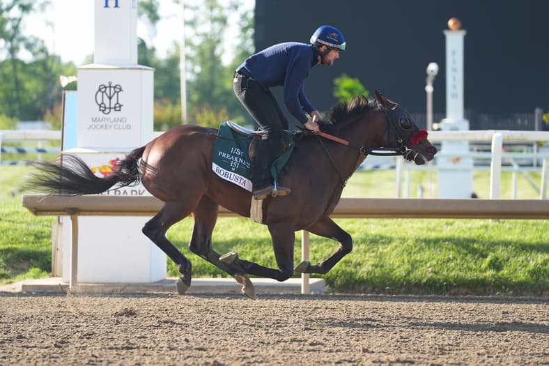 preakness stakes