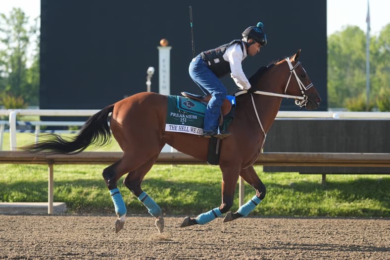 preakness stakes