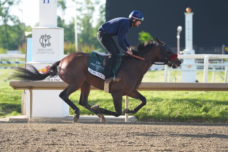 preakness stakes