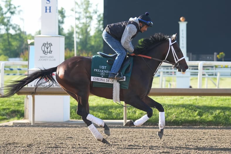 preakness stakes