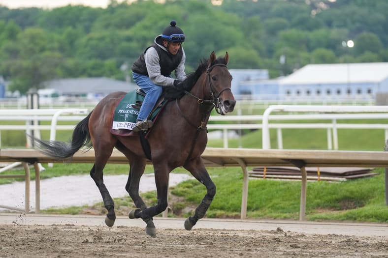 preakness stakes