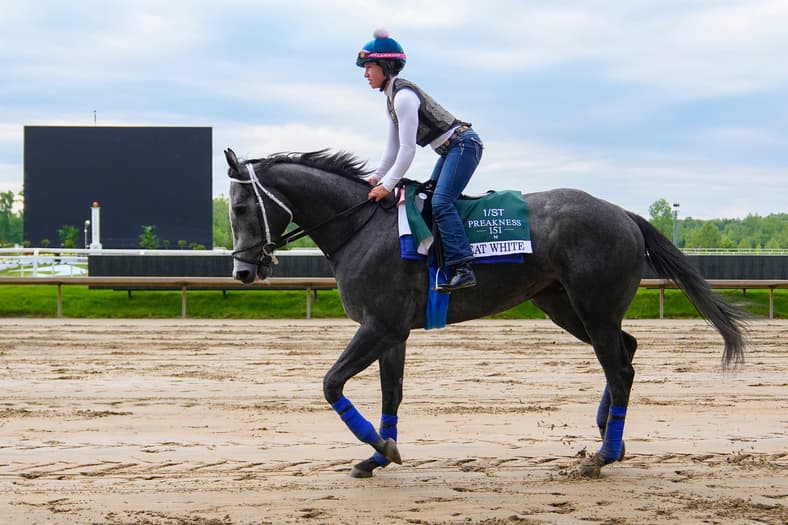 preakness stakes