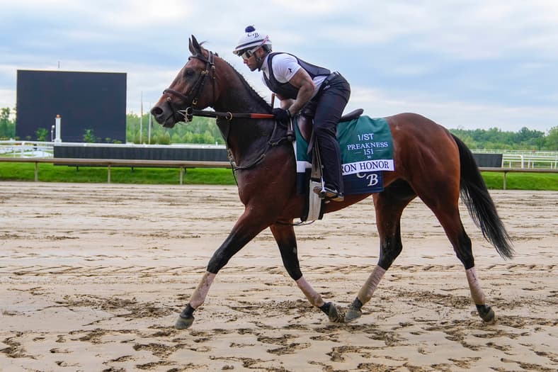 preakness stakes