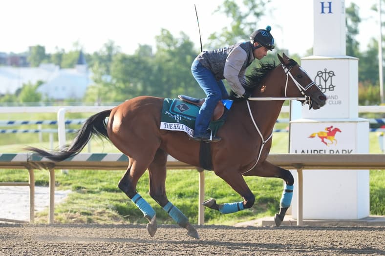 preakness stakes