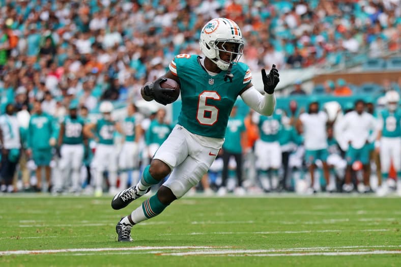 Miami Dolphins