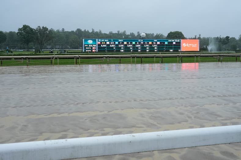 belmont stakes