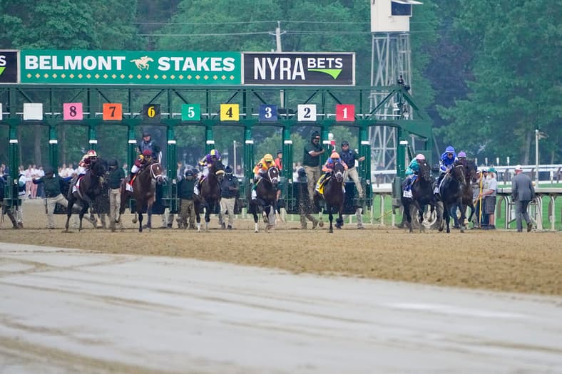 belmont stakes