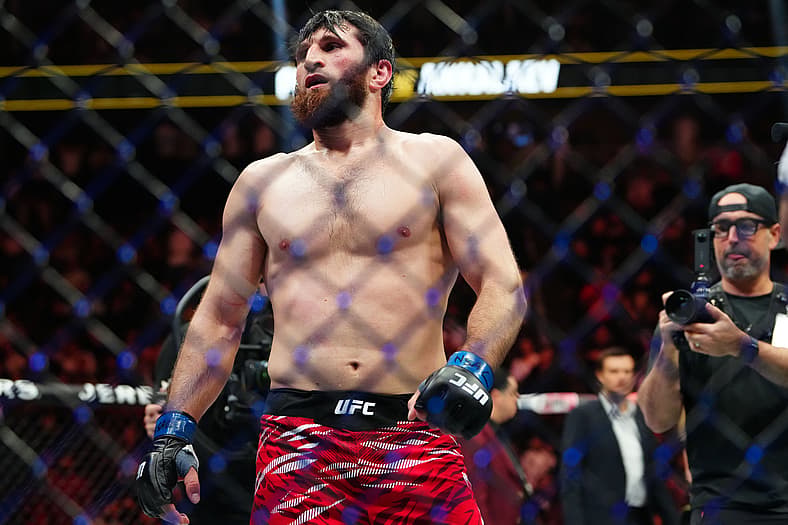 ufc light heavyweight rankings