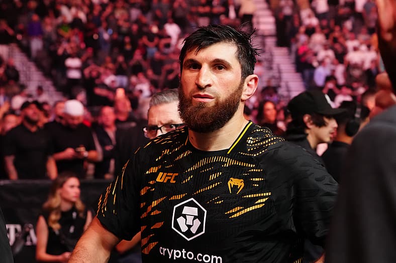 MMA: UFC 320 - Ankalaev vs Pereira