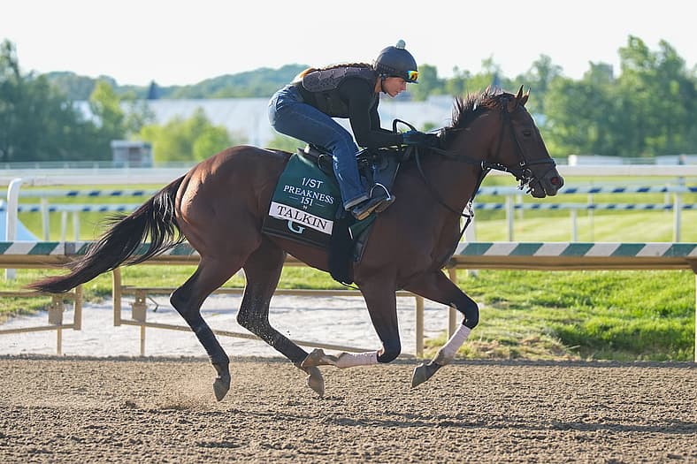 Horse Racing: 151st Preakness-Workouts