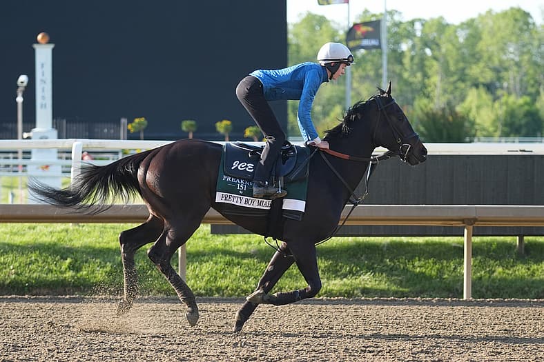 preakness stakes