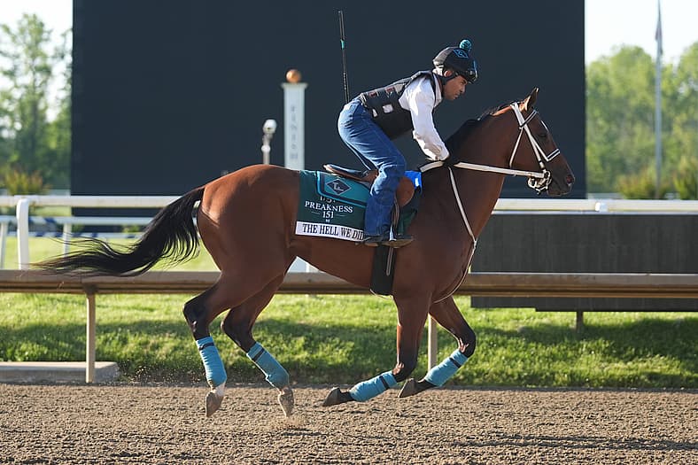 preakness stakes
