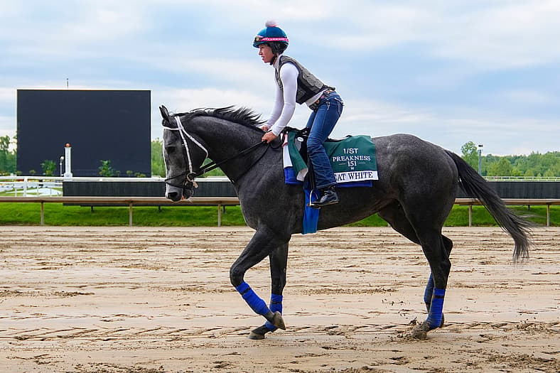 preakness stakes
