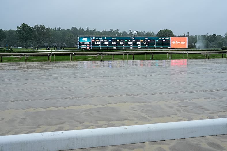 belmont stakes