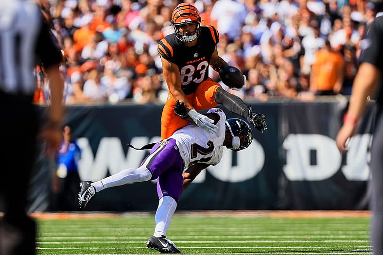 NFL: Baltimore Ravens at Cincinnati Bengals