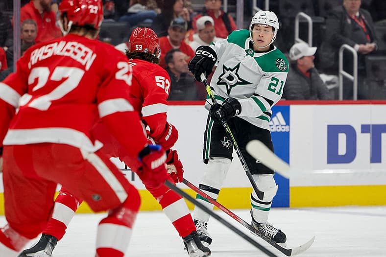 Jason Robertson, Detroit Red Wings
