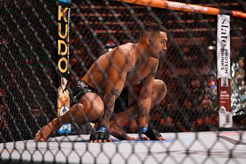 ufc light heavyweight rankings