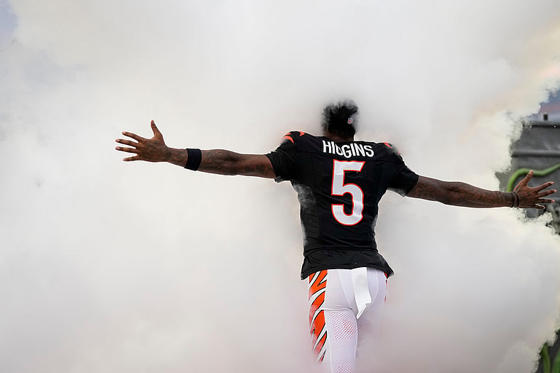 tee higgins