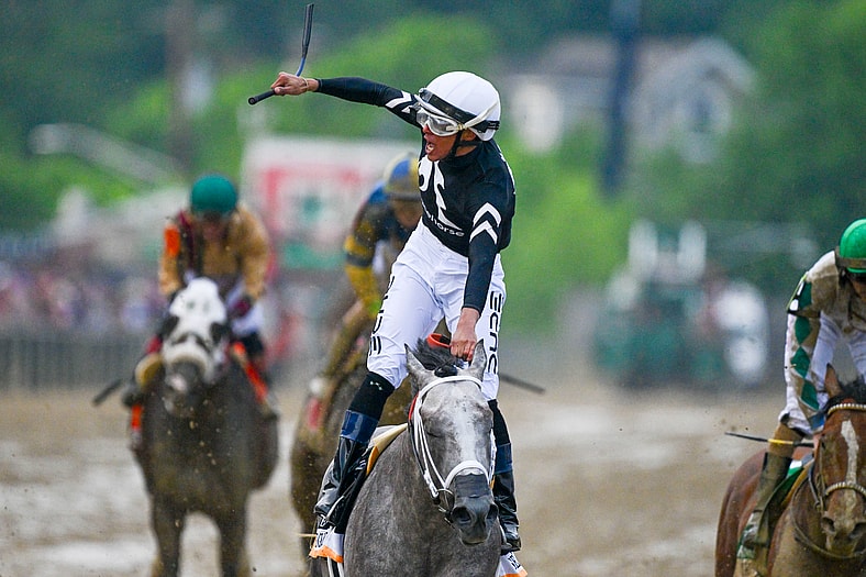 preakness stakes horses