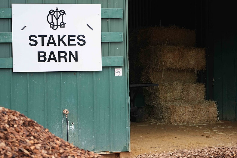 preakness stakes horses