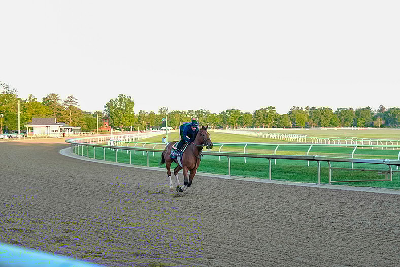 belmont stakes horses