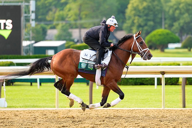 belmont stakes horses