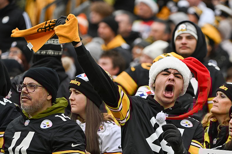 Pittsburgh Steelers fans